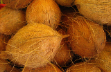 twisted coir fiber, coconut coir fiber, coconut fiber, coir fibre, coco fiber,
coir pith, coir,upholstery material, coir mattress fiber, machine twisted coir fiber,
curled coir fiber, fresh coconuts, husked coconuts, tea,  
Coco Peat,coco peat Low EC, Coco Peat High EC,
coir fiber pith , coir fiber price, Wholesale Coir Fiber
coconut fibre for mattress , Wholesale Coconut Fibre, mattress coir fiber, plant fiber, natural coir fiber, natural fiber
Best Quality Coconut Fibre from India, Language Options 
TWISTED FIBRE, FIBER ROPE, COCONUT TWISTED FIBRE, manufacturing mattresses, upholstery padding, Filling material, bedding
bedding in animal farms, growing media, Husked Coconuts from India, fresh coconut, Private Label Tea, Assam tea, south indian tea
Erosion Control, Cushioning, coconut fiber exporter, coir fiber exporter, tea exporter and machine twisted coir fiber exporter 