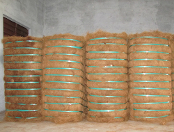 twisted coir fiber, coconut coir fiber, coconut fiber, coir fiber, coco fiber, machine twisted coir fiber, curled coir fiber, twisted coir fibre, coconut coir fibre, coconut fibre, coir fibre, coco fibre, machine twisted coir fibre, curled coir fibre 